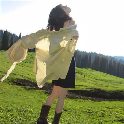 美丽的岛屿